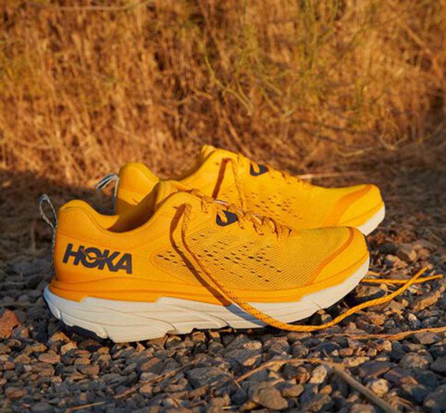 Zapatillas Trail Hoka One One Hombre - Challenger Atr 6 - Amarillo - YWN546892